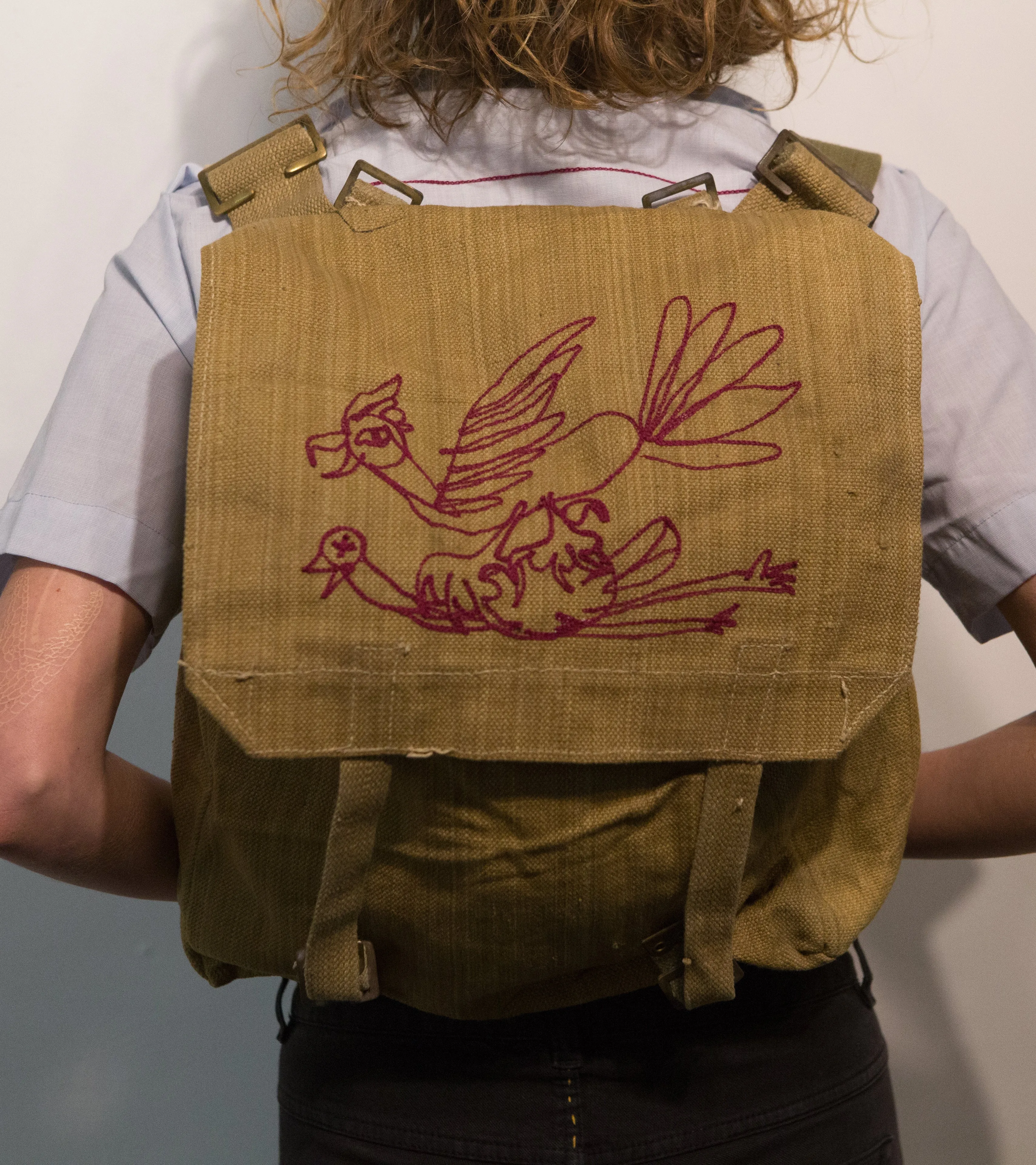 British canvas backpack: attack birds